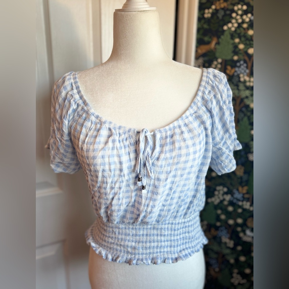 Pink Rose Blue Gingham Blouse​
